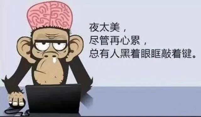 程序員假期怎么過，快來看看你屬于哪一種？